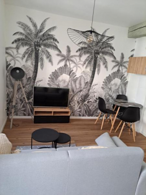 Appartement à la vieille ville d'auxerre